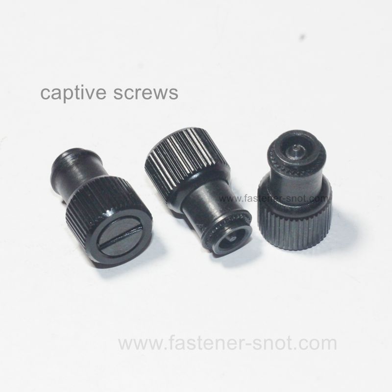 captive screws with cheese type.jpg