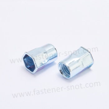 Small Head Hex Body Carbon Steel Rivet Nut Zinc Blue