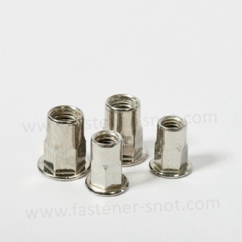  Flat Head Rivet Nut Stainless Steel 304 Half Hex China	