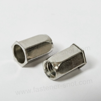  Small Head Rivet Nut Stainless Steel Full Hex China	