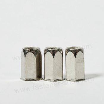  Small Head Rivet Nut Stainless Steel Full Hex China	